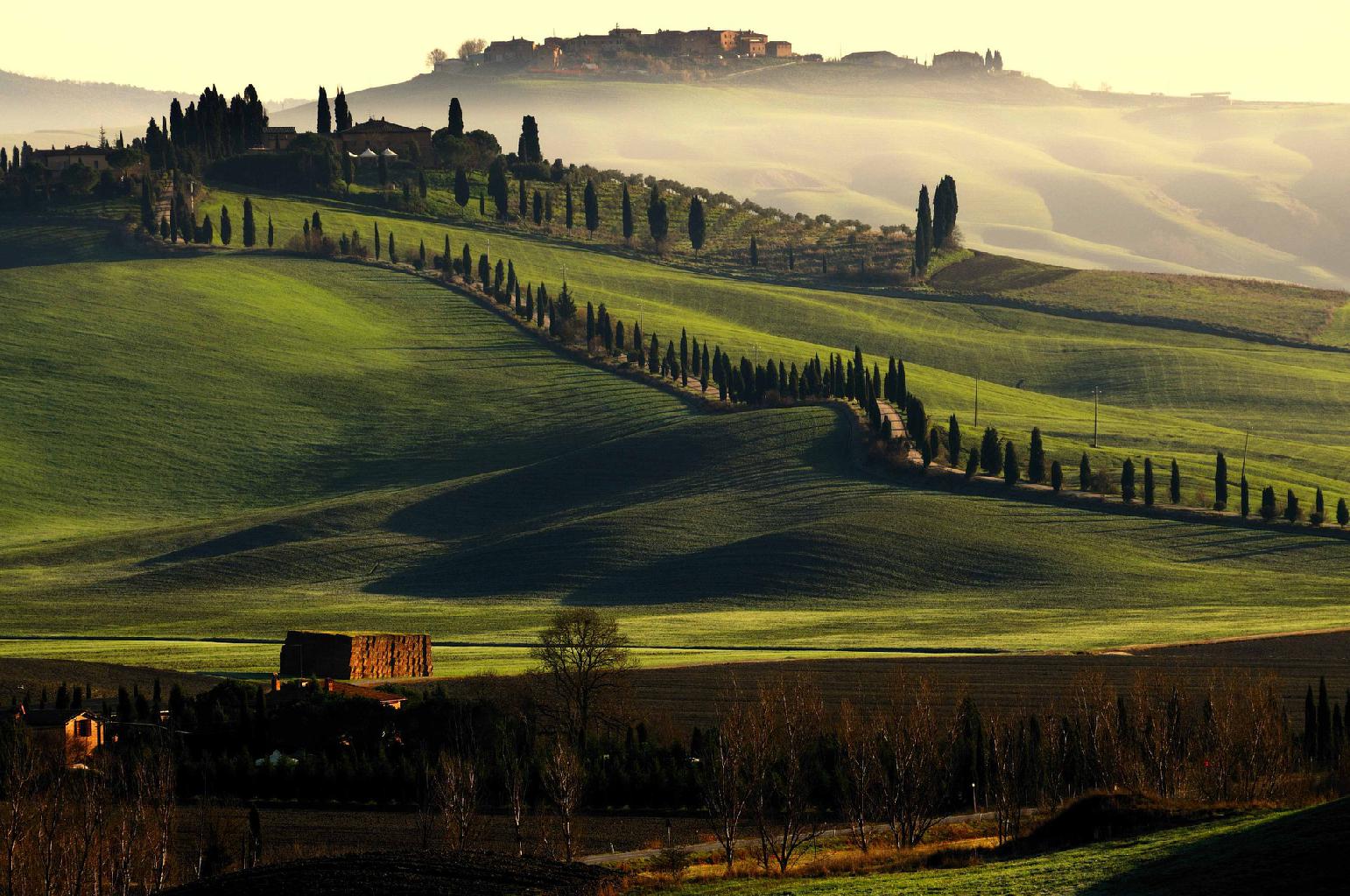 Colline toscane con cipressi