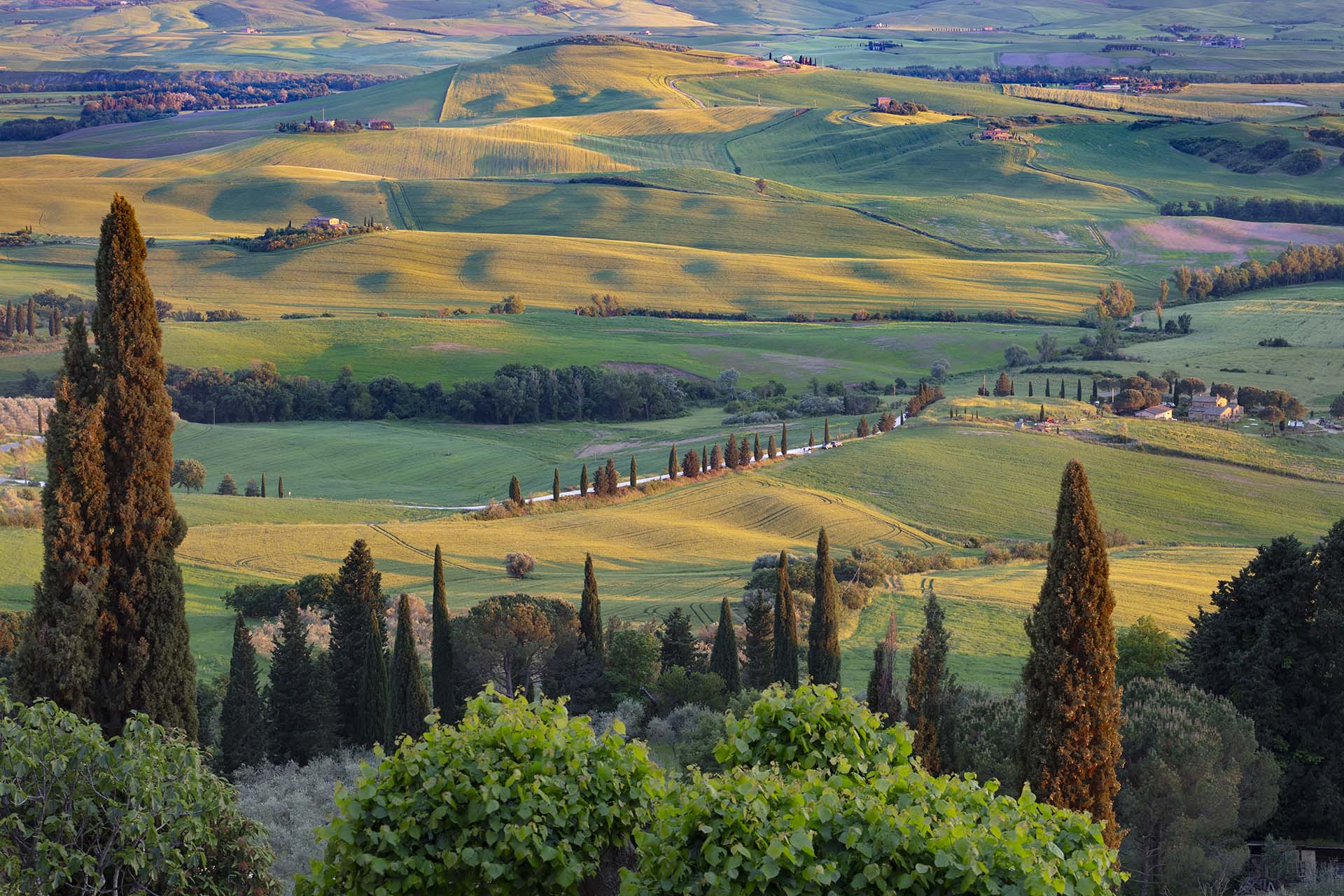 Colline della Valdera Toscana